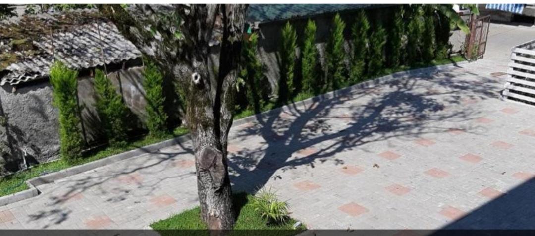 Sunny Days Hotel Kobuleti Luaran gambar
